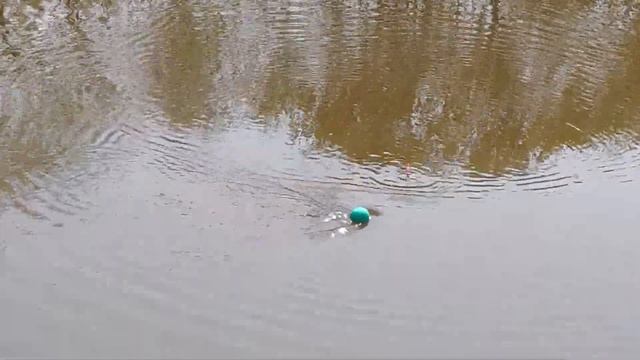 Открытие летней рыбалки 2021 в Кировской области смотреть онлайн