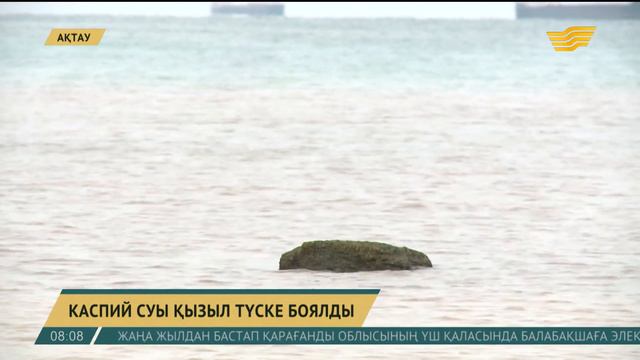 Каспий теңізінің суы қызыл түске боялды смотреть онлайн