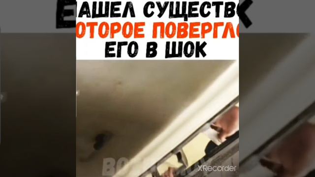 НАШЁЛ СУЩЕСТВО КОТОРОЕ ПОВЕРГЛО ЕГО В ШОК смотреть онлайн