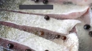 Солим толстолобика «под селедку».Как засолить толстолобика.