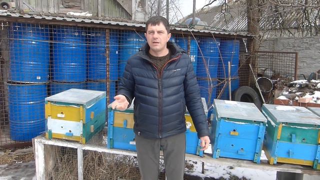 Зачем снимают видео и сколько зарабатывают пчеловоды на ЮТУБЕ смотреть онлайн