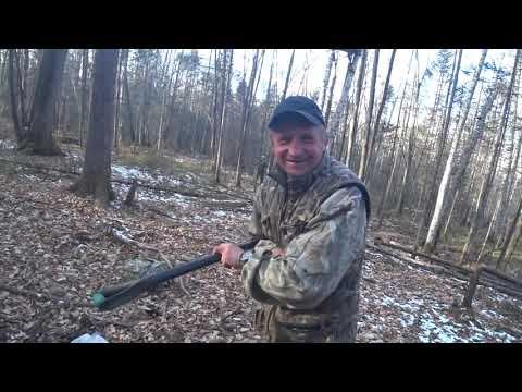 охота на кабанов, наткнулись на табун смотреть онлайн