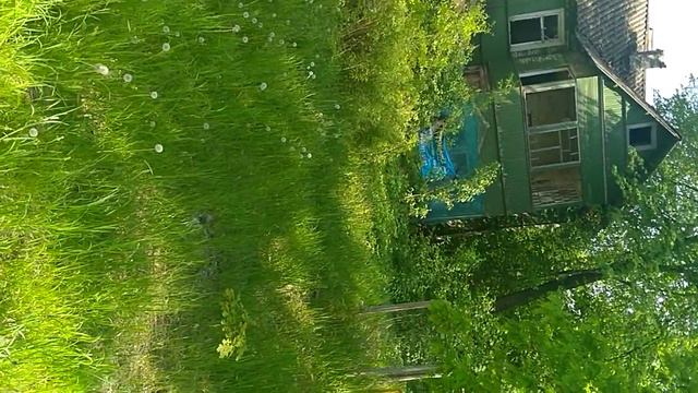Куда Серёжа не повезёт везде заброшенки смотреть онлайн