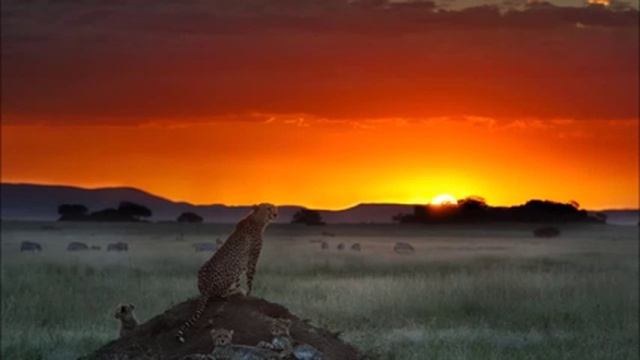 Омар Хайям - лучшее чтение рубаи смотреть онлайн