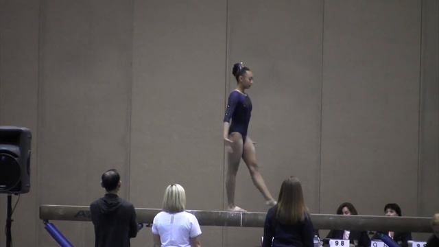 Cienna Samiley - Level 10 Region 1 Championships - April 2018 смотреть онлайн