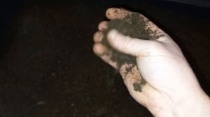 Сухой биогумус и конский навоз, для червей.