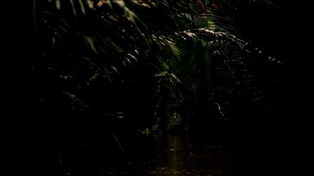 Vietnam War - Operation Wandering Soul PBR Ambience (Ghost tape number 10) смотреть онлайн
