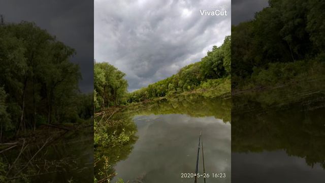 ВИРА МАЙНА🤩