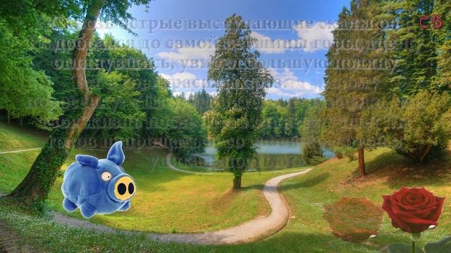 Психологический тест "Голубой поросенок" / Psychological test " Blue pig " - CrazyBrain смотреть онлайн