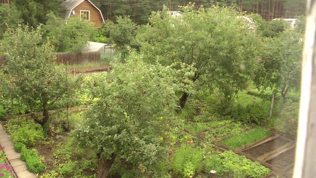 Вид из окна на фасад. смотреть онлайн