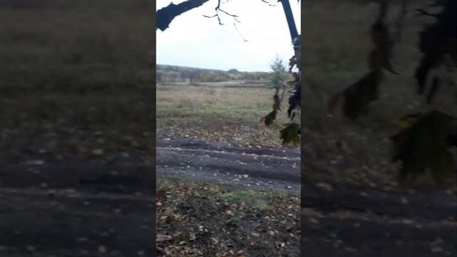 ОСЕНЬ мать её смотреть онлайн