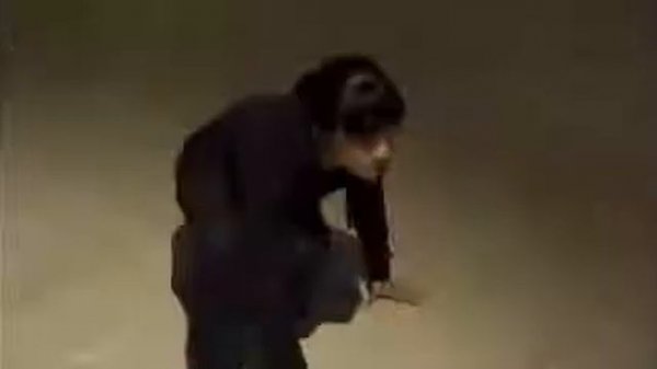 Rina Takeda & Hina Tobimatsu Fight Scene 5