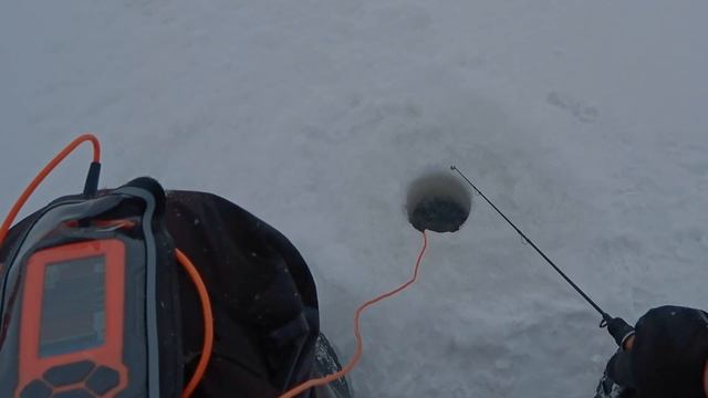 ЧТО ЛУЧШЕ КУПИТЬ?!!! Эхолот или подводную камеру. Простым языком все, что нужно знать! смотреть онлайн