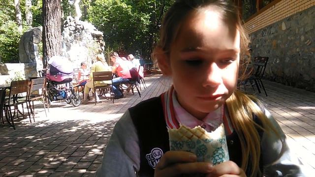 Новосибирская шаурма в зоопарке. 3 авг 2018 смотреть онлайн