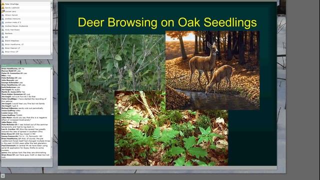 A history of non-native forest pest invasions смотреть онлайн