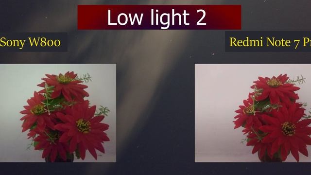 Smartphone vs Point and Shoot Camera | Comparison with Sample Photos | Smartphone vs Digital Camera смотреть онлайн