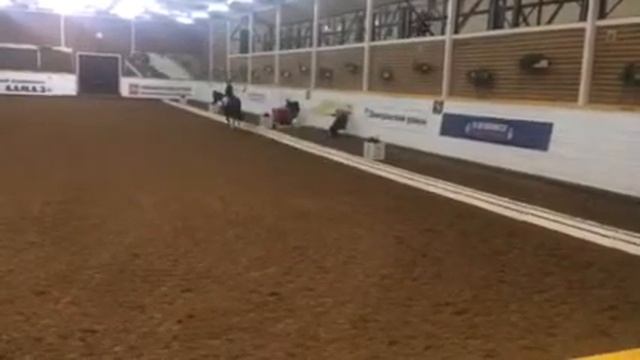 МО Фенхель смотреть онлайн