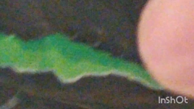 Светильник из банки ЭНЕРГЕТИКА ч1. смотреть онлайн