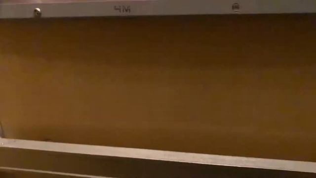 ВЛОГ/СДЕЛАЛА МАСКУ/СУП И ЖАРЕНЫЙ МИНТАЙ/ПРИНЕСЛИ ФАБЕРЛИК/НЕБОЛЬШОЙ ДОЖДИК/05.09.2021 г