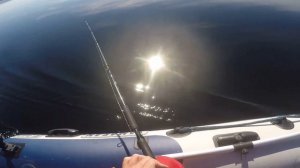 Как ловить с мини планерами? Показываю весь процесс роспуска от начала до конца.