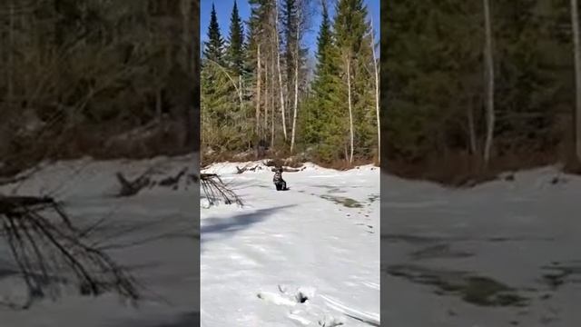 Рыбалка на щуку в тайге Сибирь добирались на снегоходах Ski doo и Варяг 550 смотреть онлайн