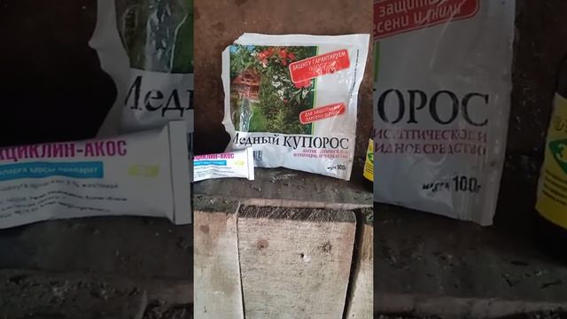 обзор на мою птицу и чем лечить болезнь чичяг смотреть онлайн