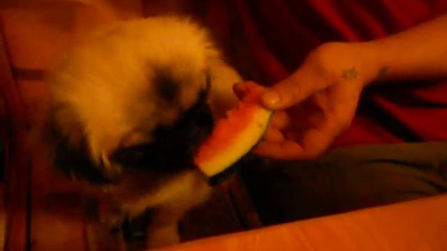 Ой как вкусно!!! смотреть онлайн