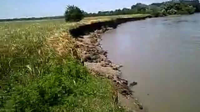 на берегу кубани,половодье прошло смотреть онлайн