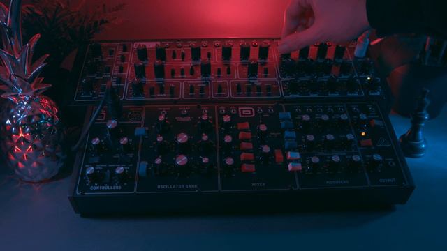 Behringer Pro 1 & Model D - Melodic Techno Performance