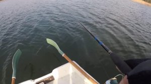 Рыбалка.Ловля щуки на силиконовые приманки. Виброхвосты от Bekley и Fox Rage которые ловят.