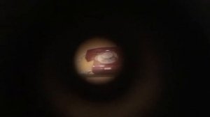 Зоркий С. Плёночный фотоаппарат Зоркий С.