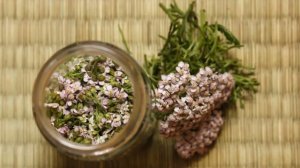 Бизнес по сбору лекарственных трав и растений