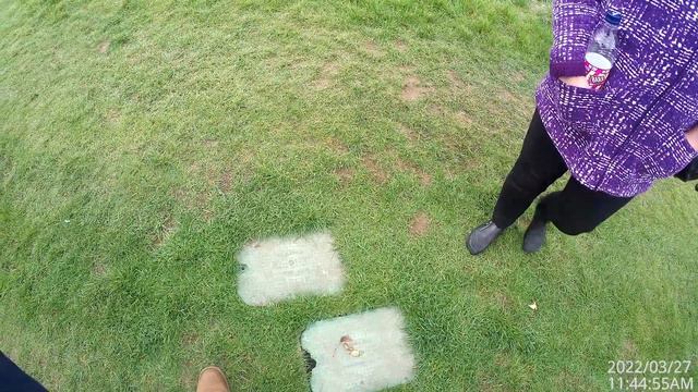 Прогулка вдоль реки Трент, в хороший день. Англия смотреть онлайн