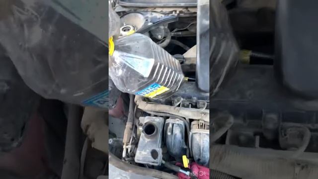 Теплые тенденции