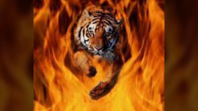 Новый вискас теперь с горохом. смотреть онлайн