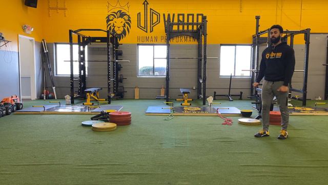 Single Leg High Knee Pogos