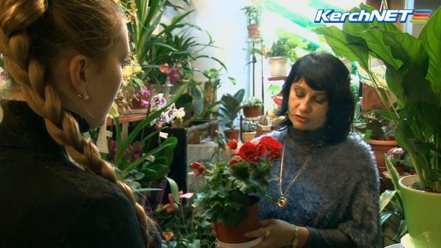 цветы 4 смотреть онлайн
