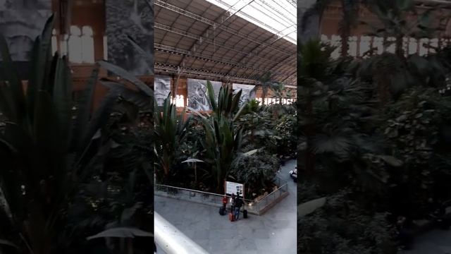 Мадридский вокзал Atocha 29.12.19 смотреть онлайн