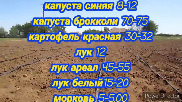 Цены на Рынке В Копани 19 мая 2020 г.