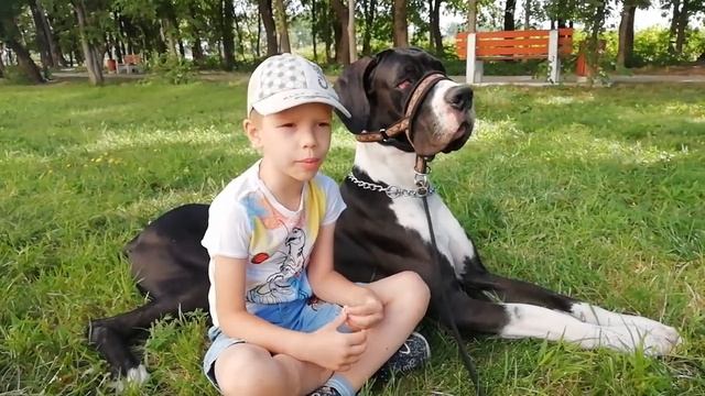 Стихотворение "Мишка косолапый" смотреть онлайн