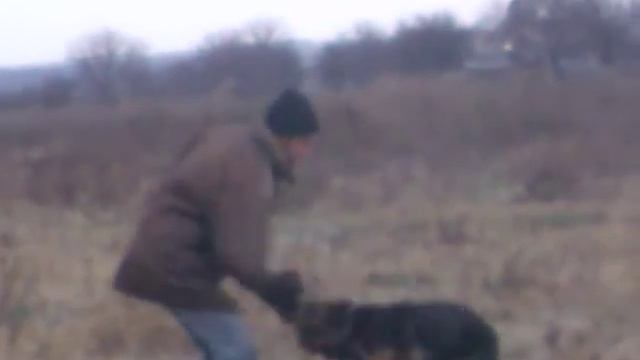 Вот,что значит команда "фас!" смотреть онлайн