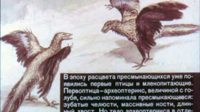 Происхождение и развитие животного мира на Земле Диафильм по зоологии для 7 класса смотреть онлайн