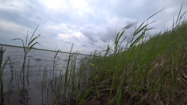 Эта блесна сделала всю рыбалку! смотреть онлайн