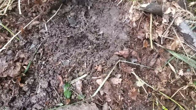 ОСТРОВ РУССКИЙ "ПО ВОЕННЫМ ДОРОГАМ" смотреть онлайн