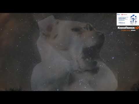 Смотрим видосики с Dawg и MightyPoot