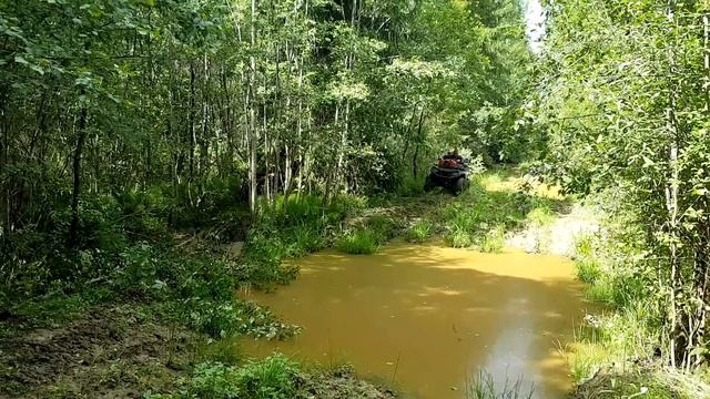 Квадрики в грязи. Демидовские болота 2018 смотреть онлайн