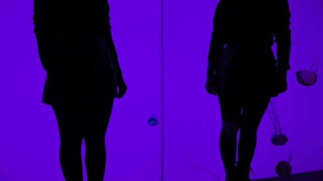 Øfdream - The Golden Age