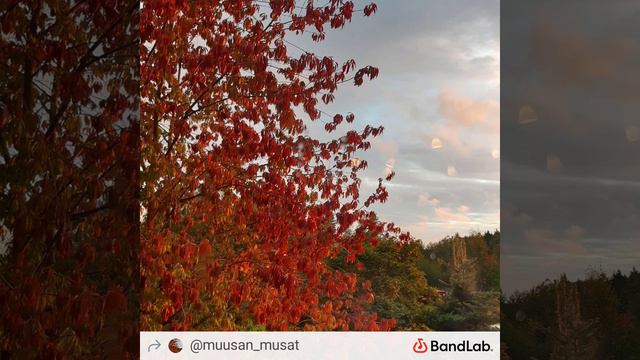 Festive March (Erkki Melartin Op 22 No.30) by MariL смотреть онлайн