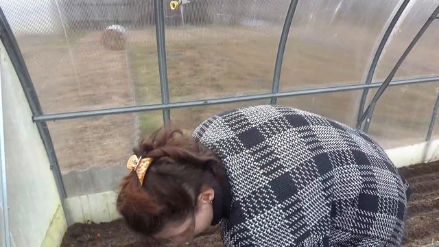 Огородный сезон открыт. Василёк поднимает настроение. смотреть онлайн