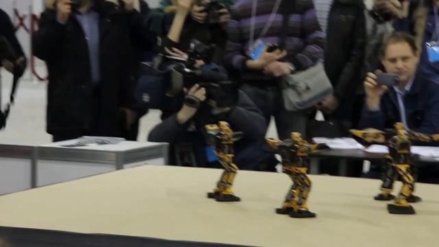 Робофест - 2013 смотреть онлайн